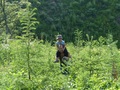 #4: Peter helping Andy up the steep hillside