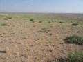 #9: View to the North