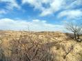 #2: east