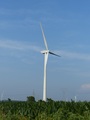 #2: Wind farm