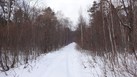 #7: The path