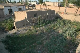 #1: Confluence point located by the mud wall near the end of the yard