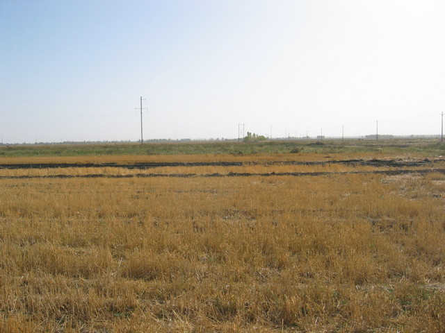 View to the East
