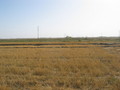 #10: View to the East