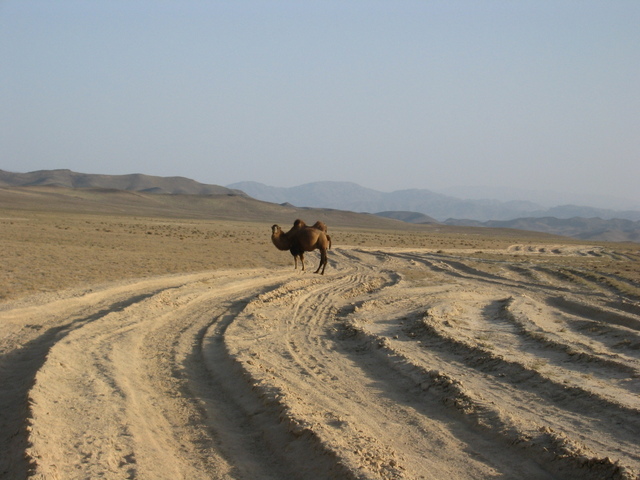 11 km from the Confluence