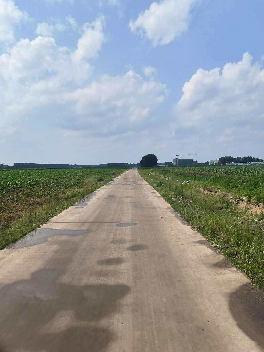 The path on the west side of the farmland