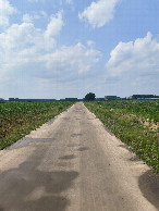 #7: The path on the west side of the farmland