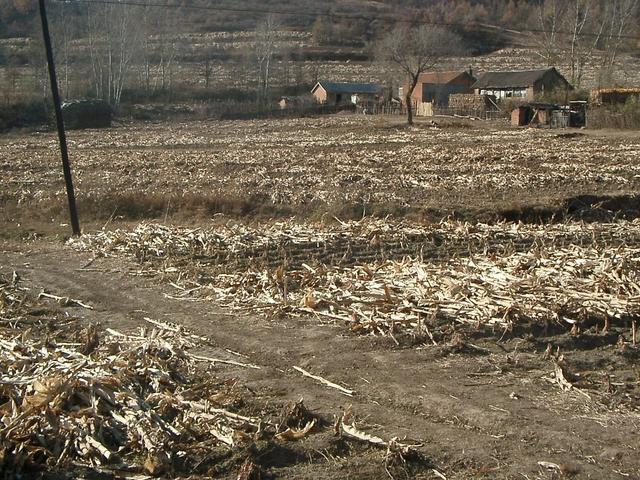 View in west direction about 10 m from CP, so that it on the middle of the low rim