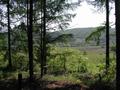 #2: East