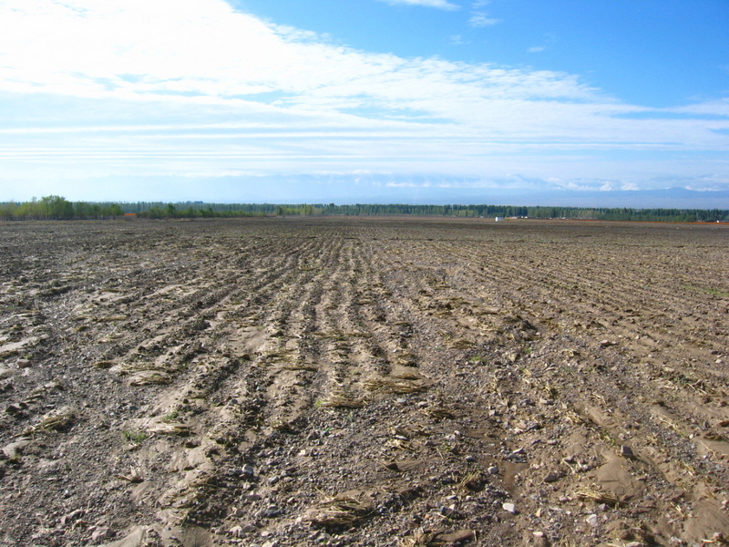 The Confluence - View to the South