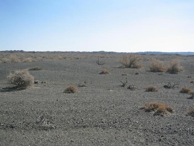 East view of confluence