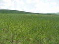 #2: View to the South