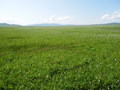 #2: View to the South