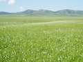 #3: View to the West