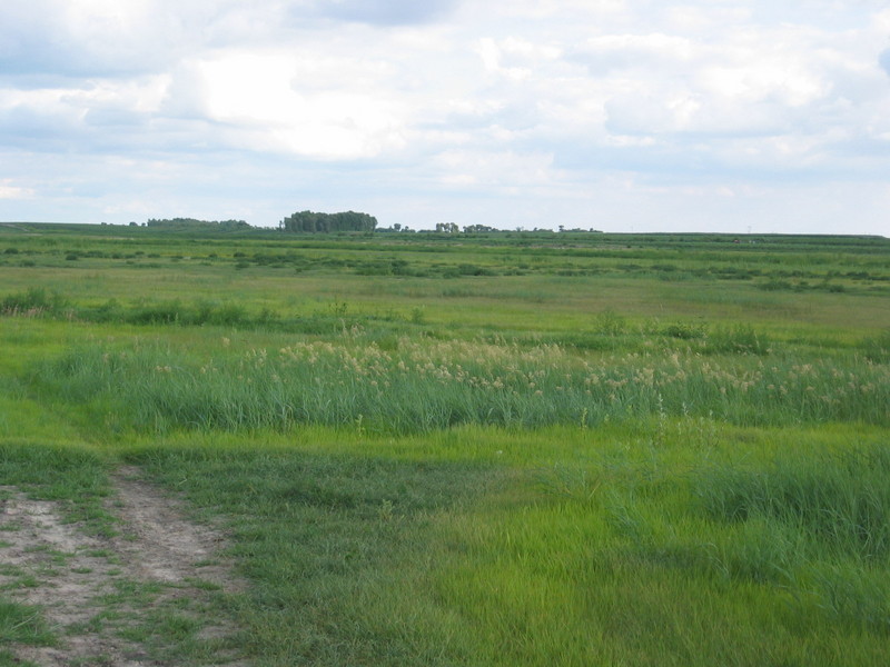 The Confluence Point