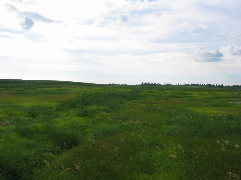 View to the West