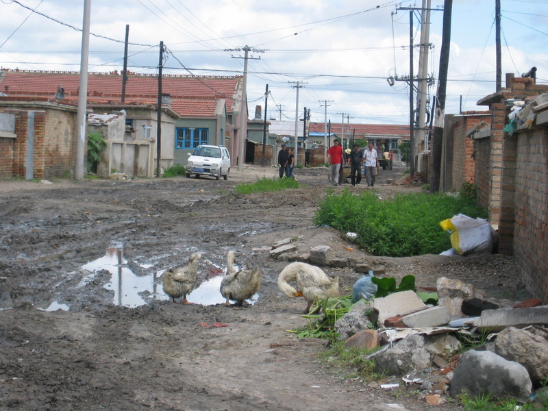 View into the Next Road