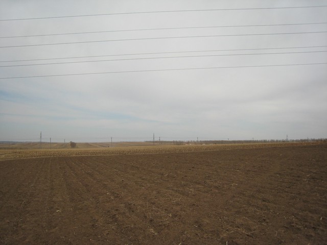 confluence area looking east