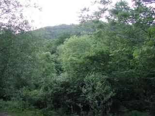 #1: Confluence point is over the hill about 2.6 km away