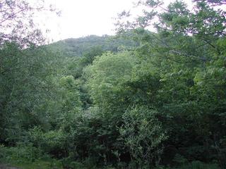 #1: Confluence point is over the hill about 2.6 km away