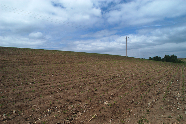 View to the North with a small hill