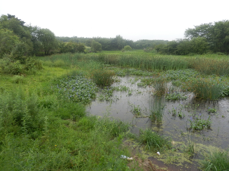 The Confluence from 20 m