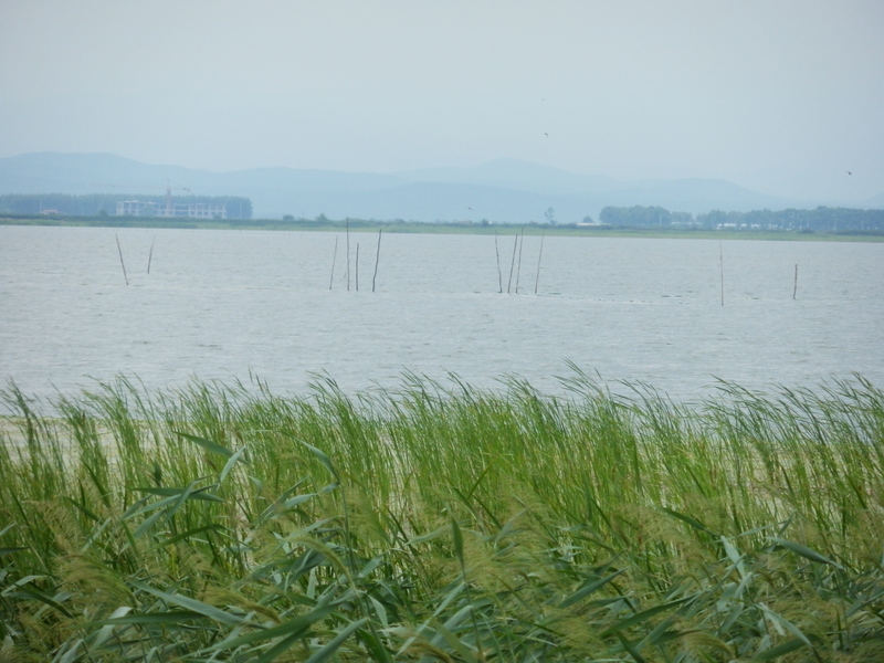 Yuèjìnpào Lake (跃进泡)