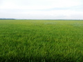 #4: View to the North