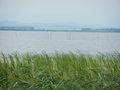 #9: Yuèjìnpào Lake (跃进泡)