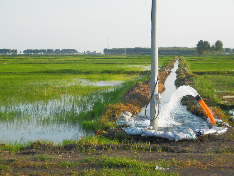 Irrigation of Rice Paddies