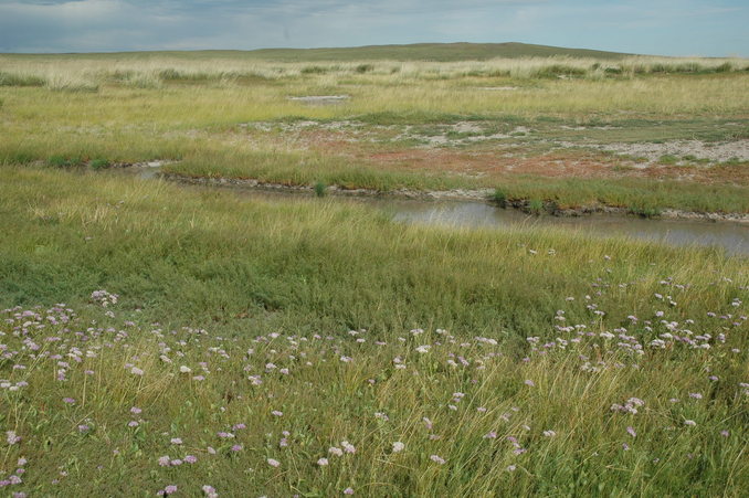 General view and looking toward the East - CP 50 meters away