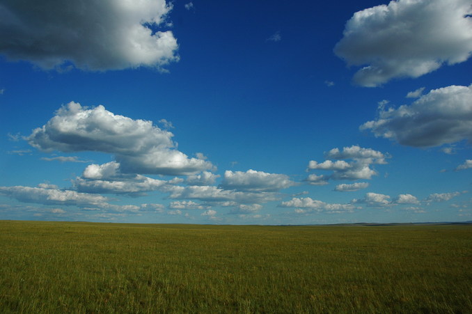 The general view - vast grassland with beautiful sky