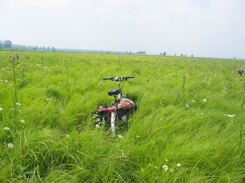 Bicycle in the Meadow