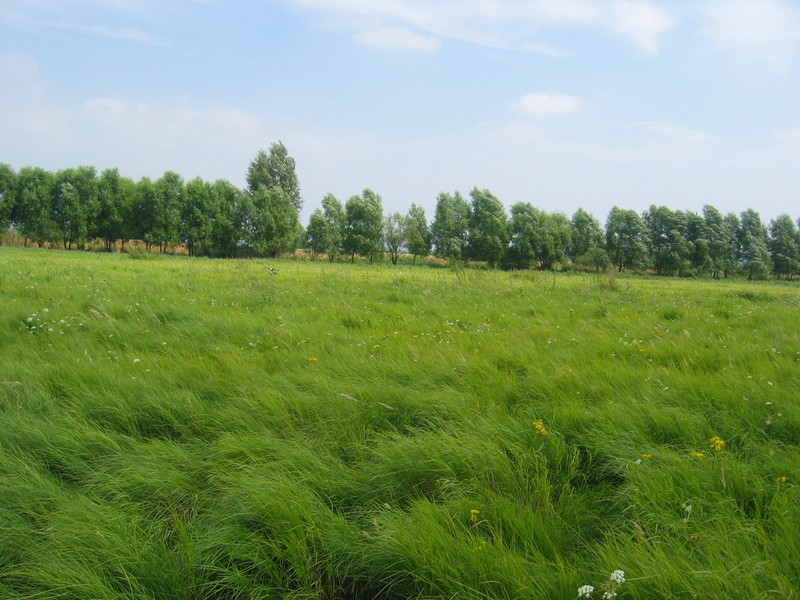 The Confluence - View to the East