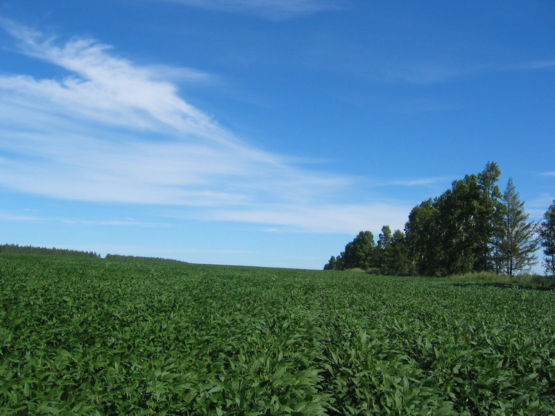 View to the North