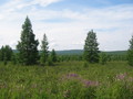 #6: View at a Distance of 1 km