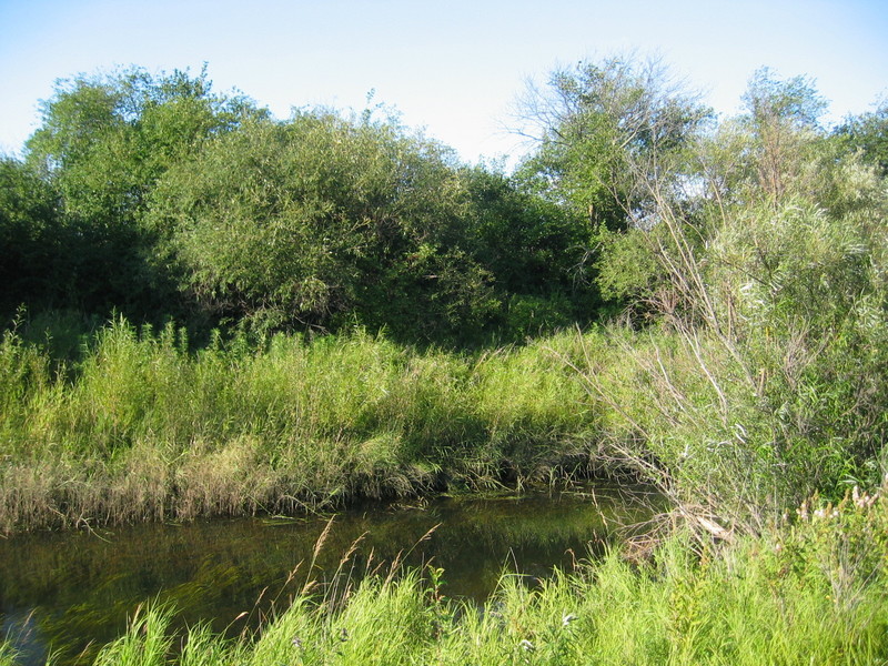 The Confluence - View to the North