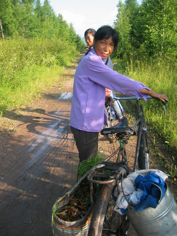 The Mushroom Pickers