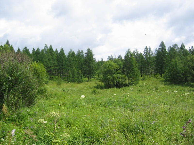 View at the Start of the Hike