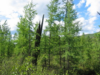 #1: The Confluence with View to the West from 20 m