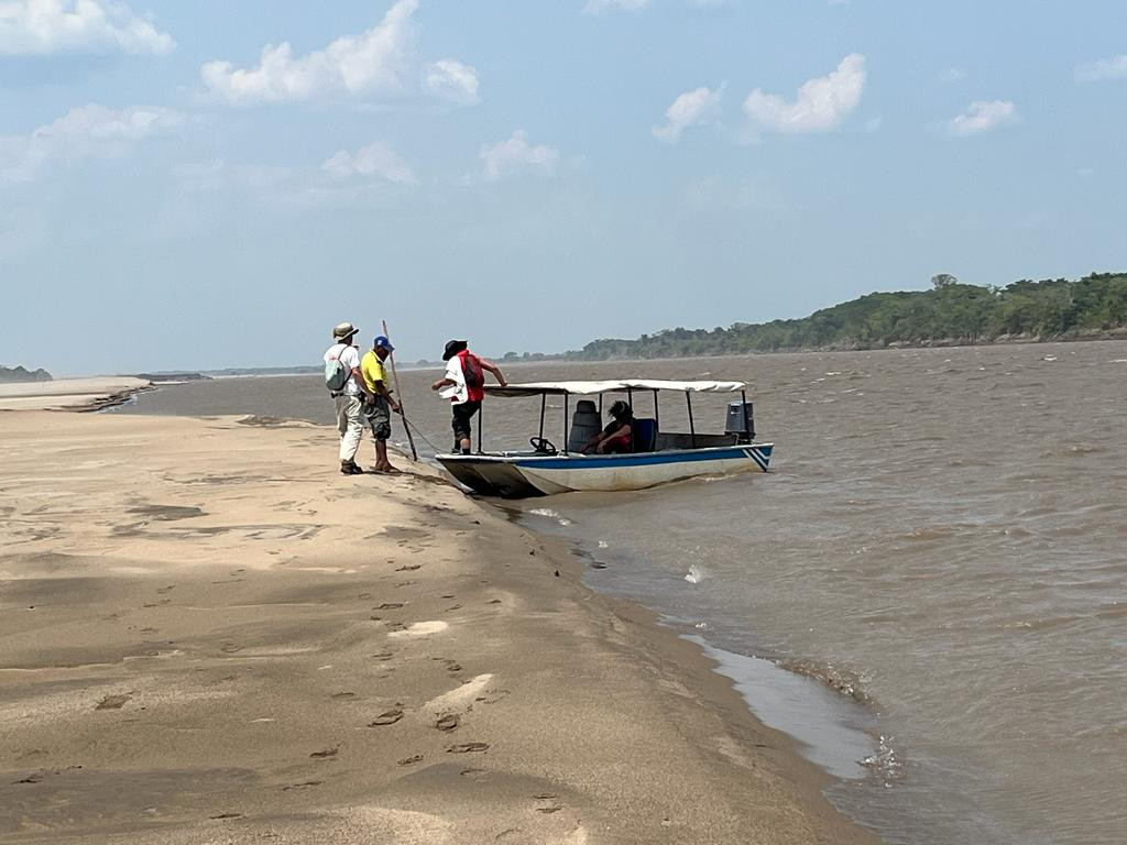 The boat and the sandbank