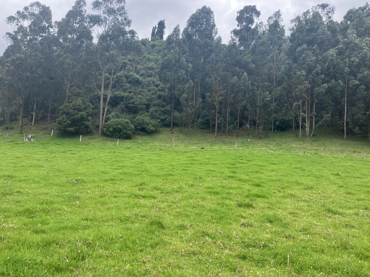 General View of the confluence