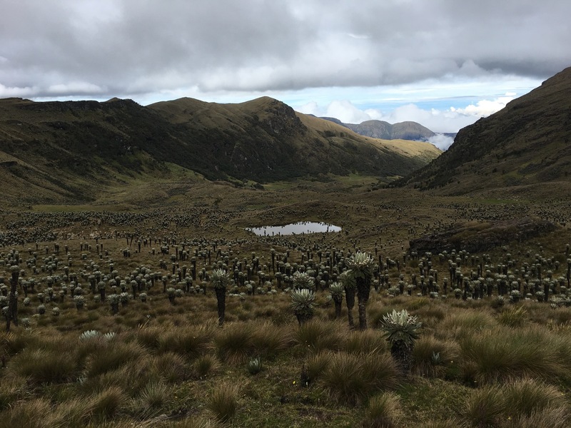 Landscape during the hike