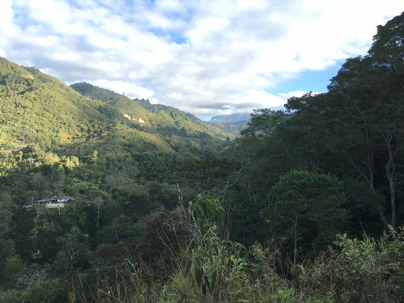 The Confluence from 80 m distance