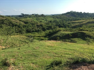 #1: The Confluence from 50 m distance