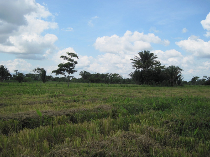 General view of the confluence