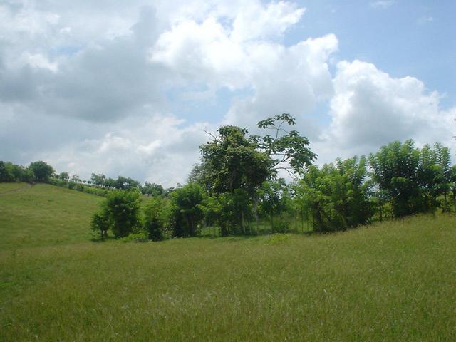 General view of the confluence