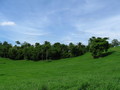 #5: Picture from the confluence, towards South