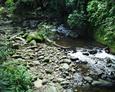 #3: a beautiful stream