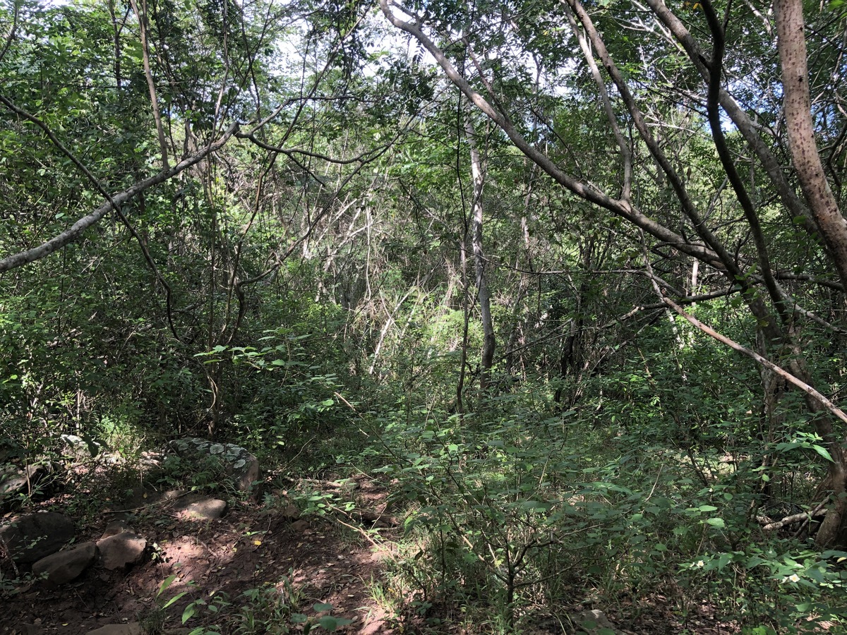 The Confluence from 10 m Distance